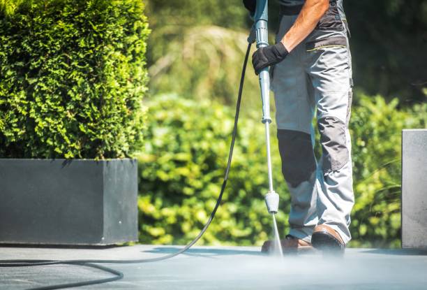 Best Animal Enclosure Cleaning  in Ocean Pines, MD
