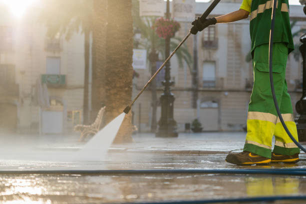 Best Driveway Pressure Washing  in Ocean Pines, MD